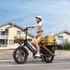 Kép 3/22 - Sokoldalúan variálható, nagy teljesítményű és hatótávú CARGO ebike - ENGWE LE20 20" 250W